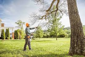 Best Hazardous Tree Removal  in Centralia, MO